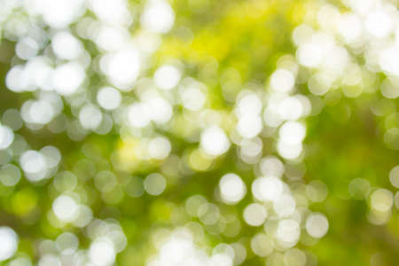 Green bokeh backgroundの写真素材