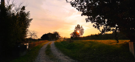 Sunset in the countryside with a country road and trees in the foregroundの写真素材