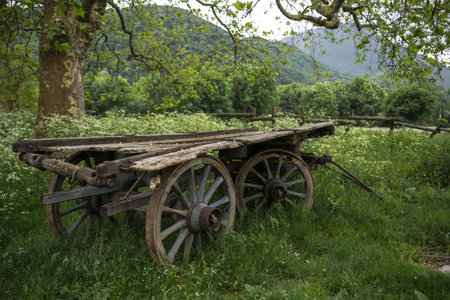 Nostalgic Serenity: Vintage Wooden Carriage Amidst Mountain Sceneryの写真素材