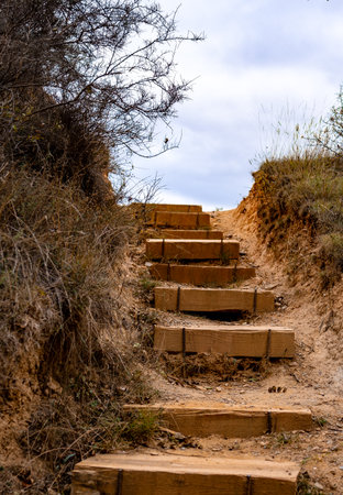 Stairway to Clouds: Ascending Path Through Rural Tranquility.の写真素材