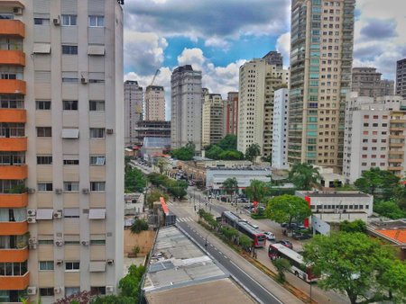view of Sao Paulo city, with its tall buildings, giving chaos to beauty