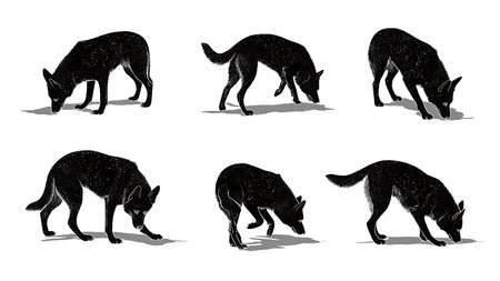 Police K9 Dog Sniffing for Evidence Silhouette Set isolated on plain white background.