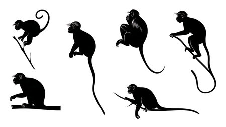 Leaping Colobus Monkey Silhouette Vector Set isolated on plain white background.