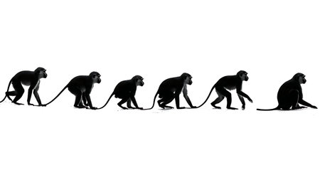 Fast Patas Monkey Silhouette Vector Set isolated on plain white background.