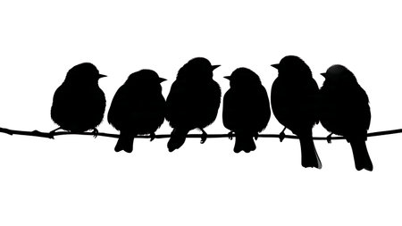 Small birds huddled on a horizontal branch, black solid isolated on plain white background.のイラスト素材