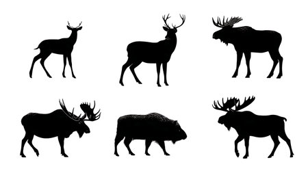 Big Game Animal Silhouette Collection for Hunting isolated on plain white background.のイラスト素材