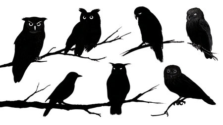 Night bird silhouettes on a branch, eerie forms isolated on plain white background.のイラスト素材