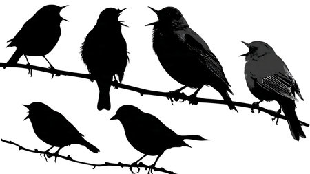 Birds with open beaks on a branch, black silhouettes isolated on plain white background.のイラスト素材