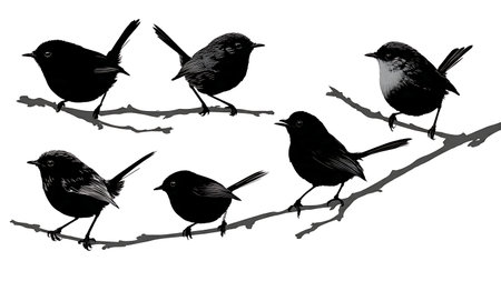 Wren and chickadee silhouettes on a delicate branch isolated on plain white background.のイラスト素材