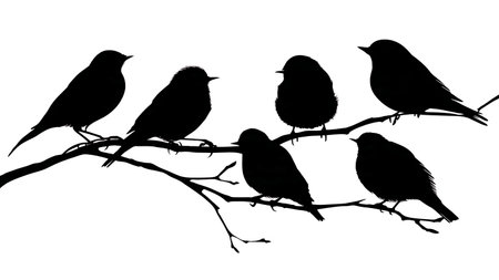 Nesting bird silhouettes on a branch, black solid isolated on plain white background.のイラスト素材