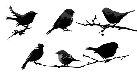 Small birds flitting on a branch, black solid isolated on plain white background.のイラスト素材
