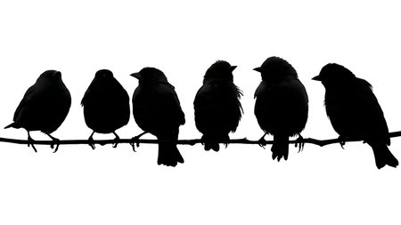 Birds on a horizontal branch with varied orientations isolated on plain white background.のイラスト素材