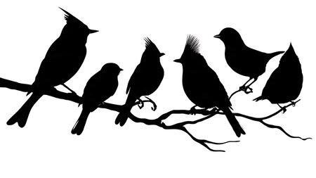 Birds with distinctive head crests on a branch isolated on plain white background.のイラスト素材