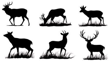 Deer in Various Poses Silhouette Wildlife Pack isolated on plain white background.のイラスト素材