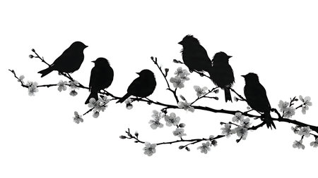 Birds on a blossoming branch, black solid silhouettes isolated on plain white background.のイラスト素材