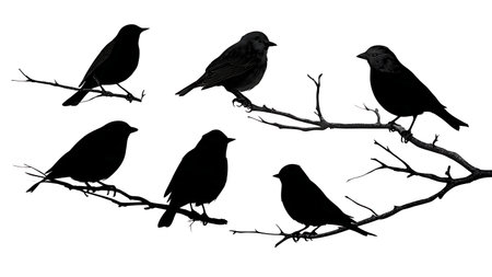 Winter bird silhouettes on a bare branch, black solid isolated on plain white background.のイラスト素材