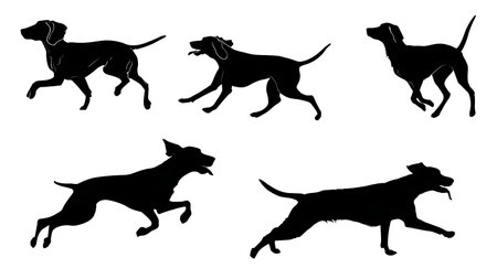 Hunting Dog Breeds in Action Silhouette Design Set isolated on plain white background.のイラスト素材
