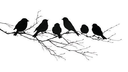 Bird silhouettes on a multi-twig branch, black solid isolated on plain white background.のイラスト素材