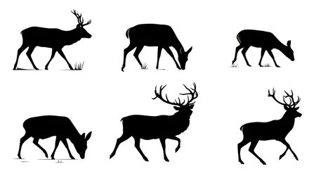 Deer in Various Poses Silhouette Wildlife Pack isolated on plain white background.のイラスト素材