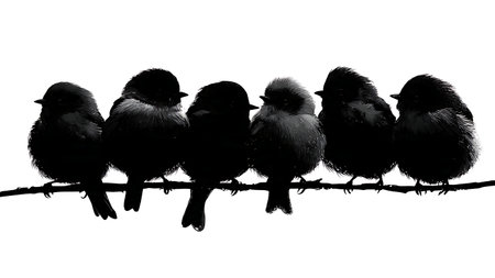 Small birds huddled on a horizontal branch, black solid isolated on plain white background.のイラスト素材