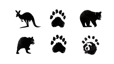 Australian Animal Track Silhouette Collection isolated on plain white background.のイラスト素材