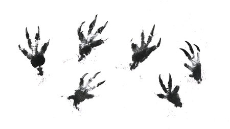 Armadillo Paw and Claw Print Silhouette Collection isolated on plain white background.