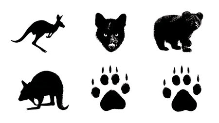 Australian Animal Track Silhouette Collection isolated on plain white background.のイラスト素材
