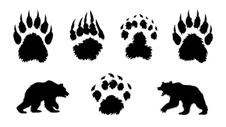 Bear Paw Print Tracks Silhouette Vector Pack isolated on plain white background.のイラスト素材