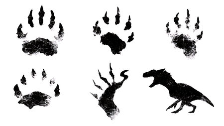 Dinosaur Footprint and Track Silhouette Collection isolated on plain white background.のイラスト素材