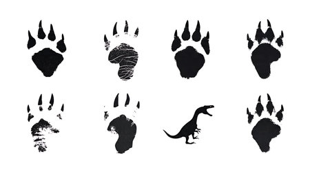 Dinosaur Footprint and Track Silhouette Collection isolated on plain white background.のイラスト素材