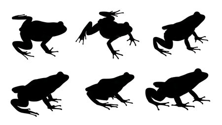 Frog and Toad Track Silhouette Collection isolated on plain white background.のイラスト素材