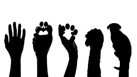 Hand Holding Animal Paw Silhouette of Friendship isolated on plain white background.のイラスト素材