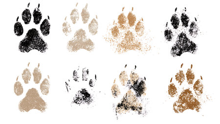 Animal Galloping Gait Track Pattern Silhouette Set isolated on plain white background.のイラスト素材