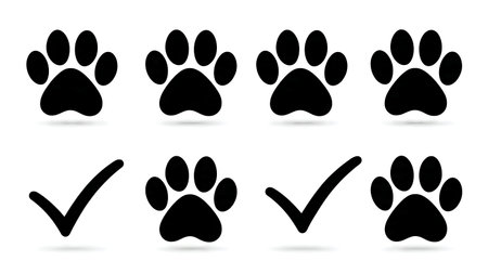 Paw Print with Check Mark Approval Silhouette Icon isolated on plain white background.のイラスト素材
