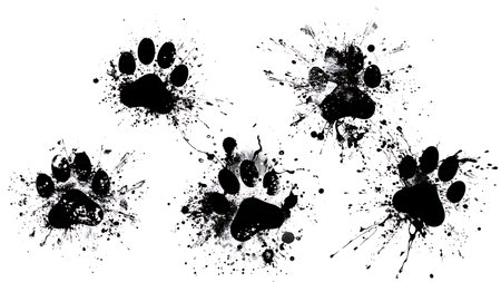 Ink Splash Paw Print Silhouette Vector Collection isolated on plain white background.のイラスト素材