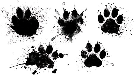 Ink Splash Paw Print Silhouette Vector Collection isolated on plain white background.のイラスト素材