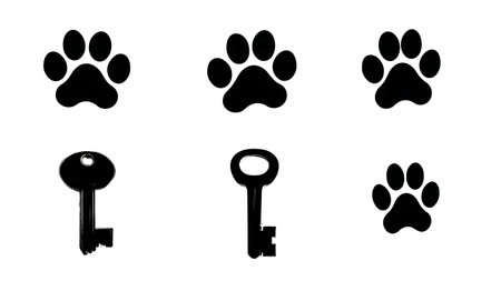 Paw Print Key Silhouette Icon Collection isolated on plain white background.のイラスト素材
