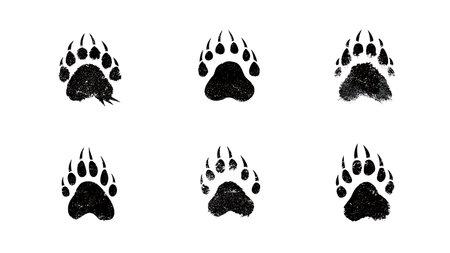 Porcupine Track Silhouette Vector Set isolated on plain white background.のイラスト素材