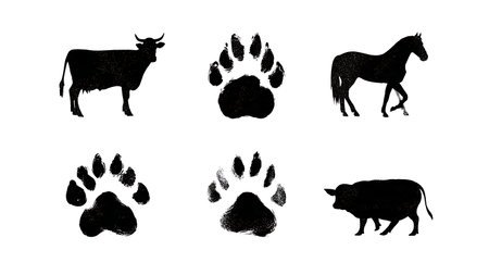 Rodent Paw Print Silhouette Vector Pack isolated on plain white background.のイラスト素材