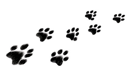 Animal Paw Print Trail and Path Silhouette Set isolated on plain white background.のイラスト素材