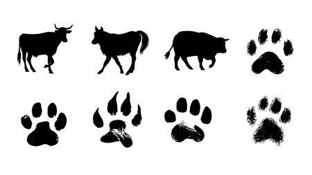 Rodent Paw Print Silhouette Vector Pack isolated on plain white background.のイラスト素材