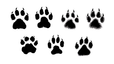 Skunk Paw Print Track Silhouette Vector Pack isolated on plain white background.のイラスト素材