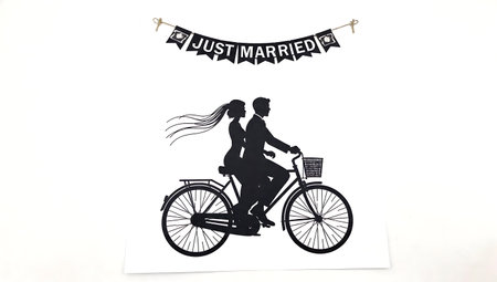 Wedding Couple on Bicycle Just Married Silhouette isolated on plain white background.のイラスト素材