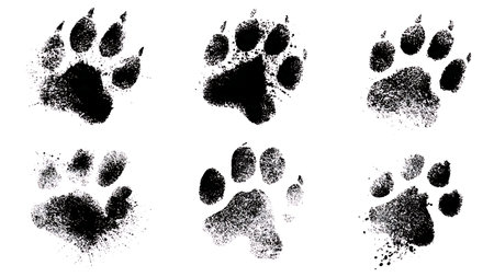 Stencil Style Paw Print Silhouette Vector Pack isolated on plain white background.のイラスト素材