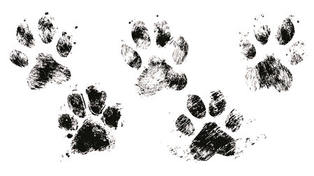 Sketchy Hand-Drawn Paw Print Silhouette Set isolated on plain white background.のイラスト素材