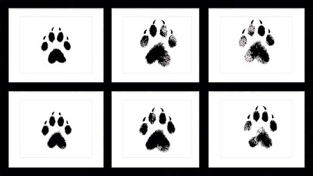 Squirrel Bounding Track Silhouette Collection isolated on plain white background.のイラスト素材