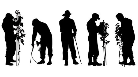 Black Solid Farmer Staking Plants Silhouettes isolated on plain white background.のイラスト素材