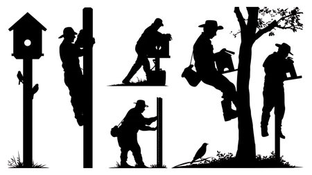 Set of Six Black Solid Farmer Installing a Birdhouse Silhouettes isolated on plain white background.のイラスト素材