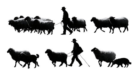 Black Solid Farmer Herding Sheep with Dog Silhouettes isolated on plain white background.のイラスト素材
