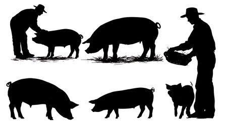 Black Solid Farmer and Pig Interaction Silhouettes Set of Six isolated on plain white background.のイラスト素材